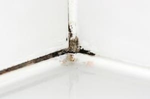 shower caulk mold
