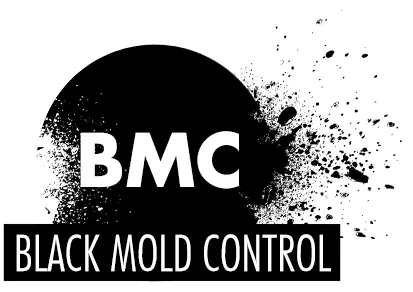 black mold